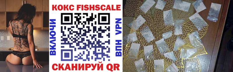 Купить где  Каргат  Кокаин Fish Scale 