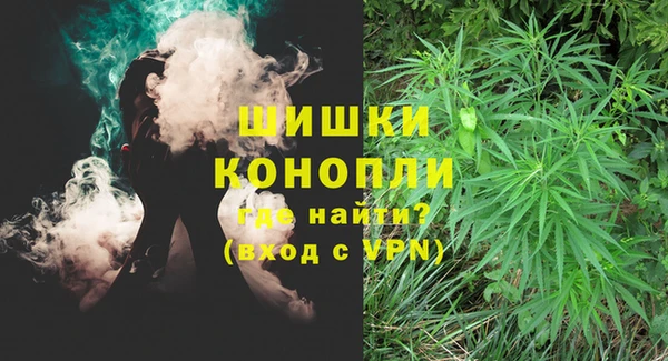 СК Касимов