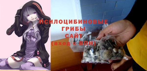 дживик Каменск-Шахтинский