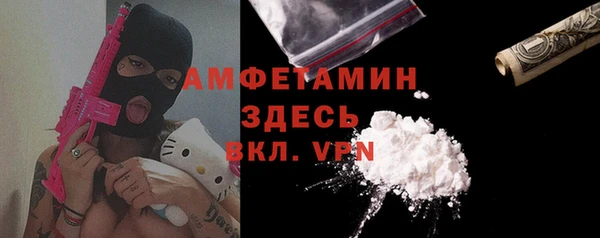 mdpv Каменногорск