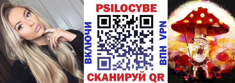 Галлюциногенные грибы Psilocybine cubensis  Купить  Каргат 